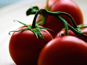 plate, tomatoes