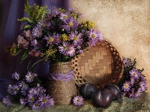 flowers, plums, lilac