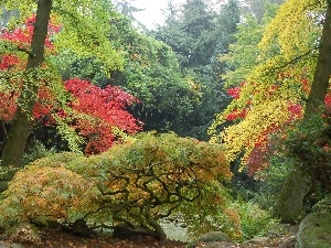 Poland, Przelewice, Garden, japanese