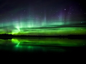 Polaris, dawn, Sky, forest, lake