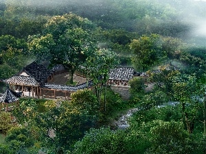 Pond - car, forest, Houses, China