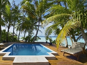 Pool, deck chair, Palms