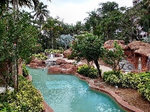 Pool, Palms, exotic, Garden