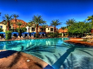 Pool, Palms, Hotel hall