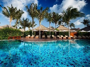 Pool, Palms, Hotel hall