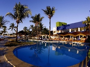 Pool, Palms, Hotel hall