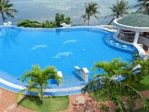 Pool, Palms, Hotel hall