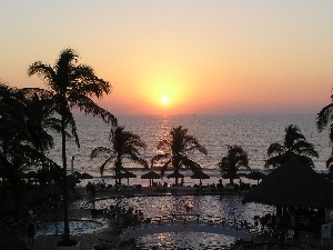 Pools, Palms, Great Sunsets