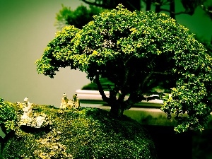 porcelain, figures, Sapling, Bonsai