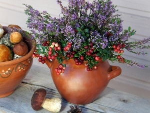 Flowers, pots, mushrooms