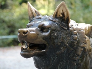 Pozna?, old Zoo, Wolf, sculpture