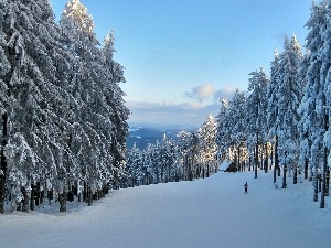 sun, Przebijaj?ce, flash, ligh, winter, forest, luminosity, Mountains