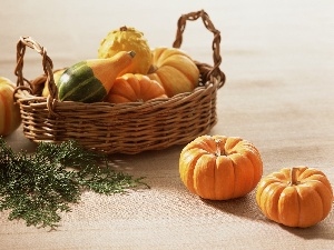 pumpkin, basket