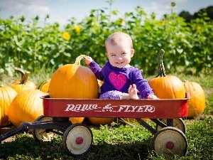 pumpkin, trolley, Kid, Smile