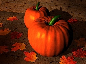 pumpkin, Orange