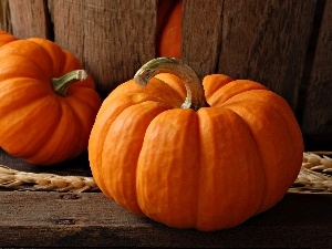 pumpkin, Three