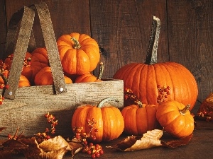 vegetables, pumpkin, autumn