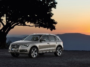 Audi Q5 SUV