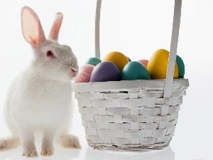 Rabbit, eggs, basket, easter