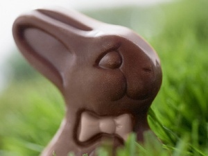 rabbit, chocolate