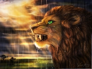 Rain, sun, Lion, Art, west