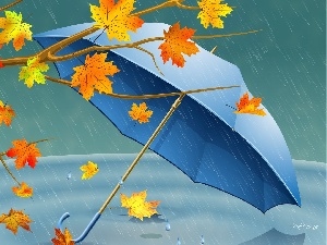 Rain, Umbrella, Autumn, Leaf
