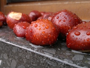 Rain, chestnuts