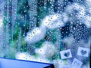 Glass, Rain, Flowers