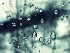 water, Rain, drops