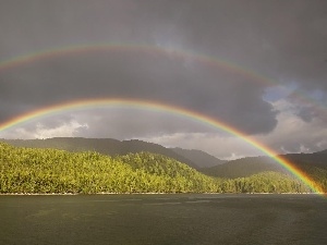 rainbows, forest, landscape, lake