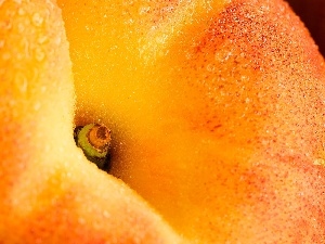 peach, rapprochement, petiole