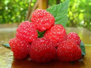 Raspberries