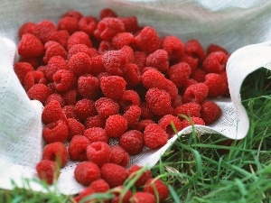 napkin, Raspberries, grass