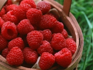 buxom, raspberry, basket