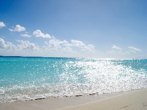 rays, Beaches, Sky, sun, sea