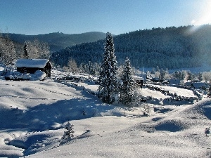 rays, Home, snow, Mountains, sun, woods