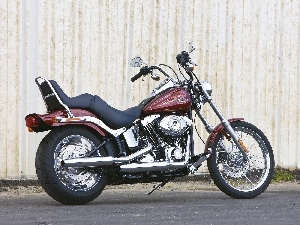 Rear, Lamp, Harley Davidson Softail Custom