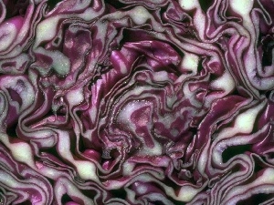 red hot, cabbage, the cut