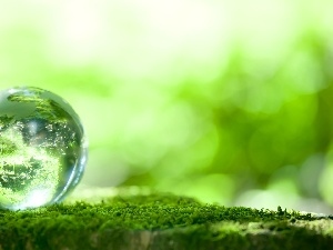 Ball, reflection, Moss