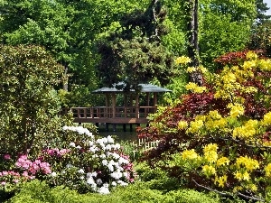 Rhododendrons, color, Park, arbour