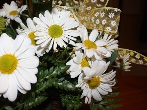 daisy, ribbon, White