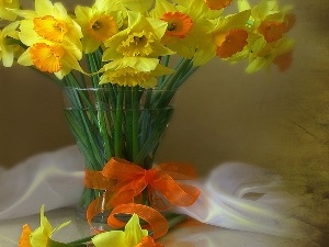 narcissus, ribbon, bowl