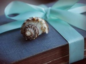 ribbon, shell, Old, Book