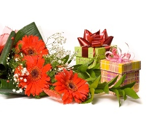 Ribbons, boxes, Red, gerberas