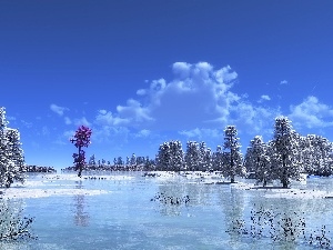 rime, viewes, lake, trees