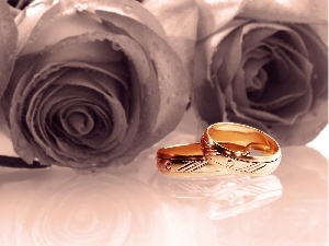 Golden, rings, roses