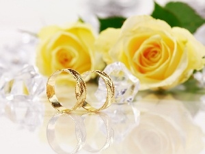 Golden, rings, roses