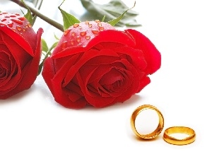 roses, rings, Red
