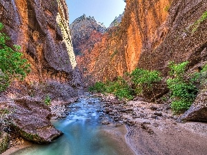 River, viewes, canyon, trees