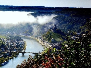 Fog, River, forest